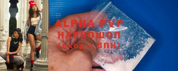 индика Арсеньев
