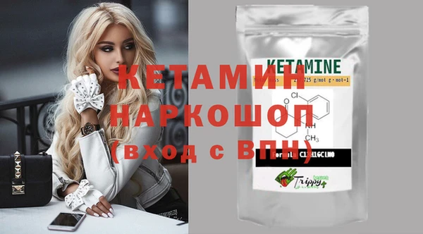 индика Арсеньев