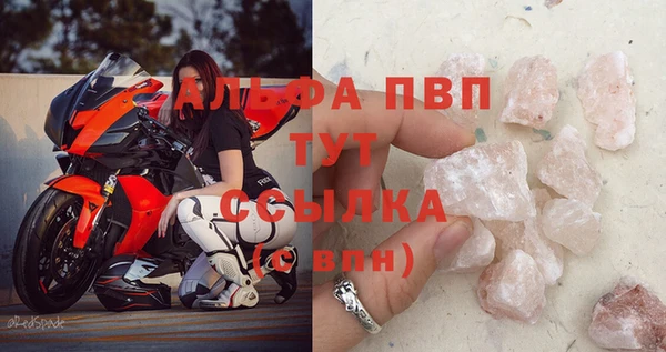 индика Арсеньев