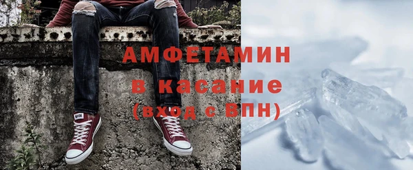 индика Арсеньев