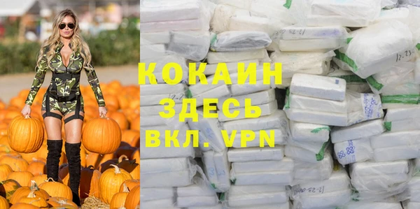 индика Арсеньев