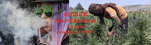 индика Арсеньев